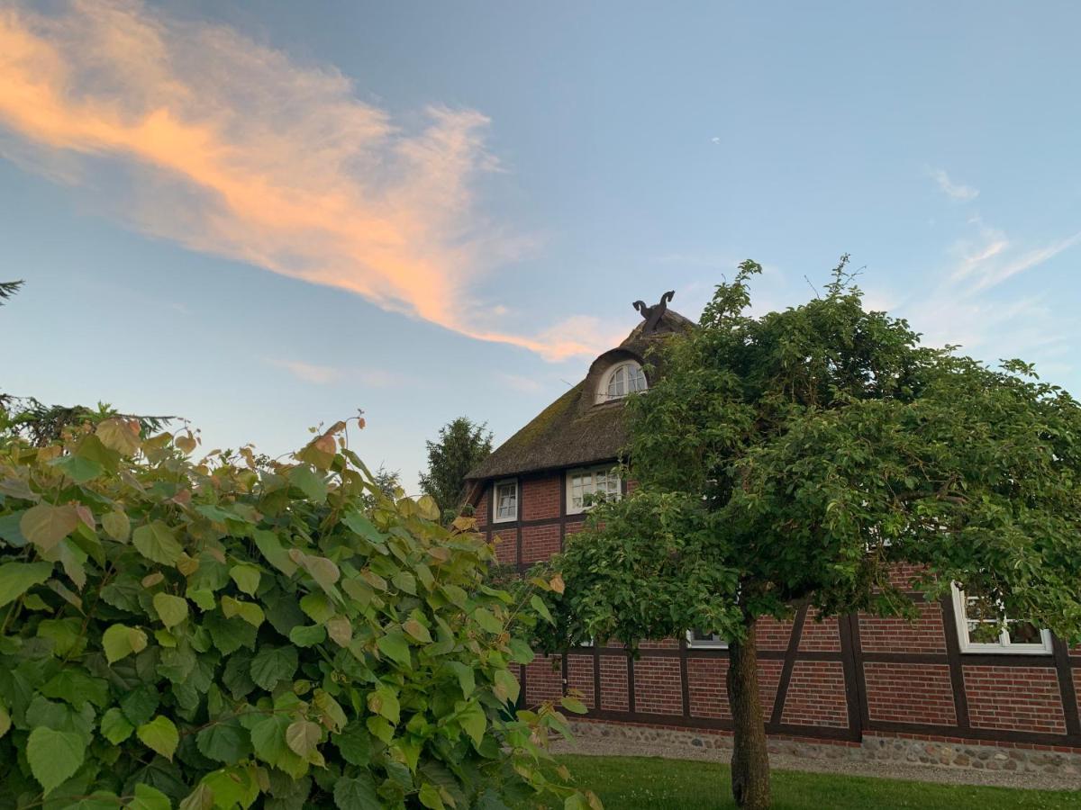 Reet Und Meer Beckerwitz Hohenkirchen  외부 사진